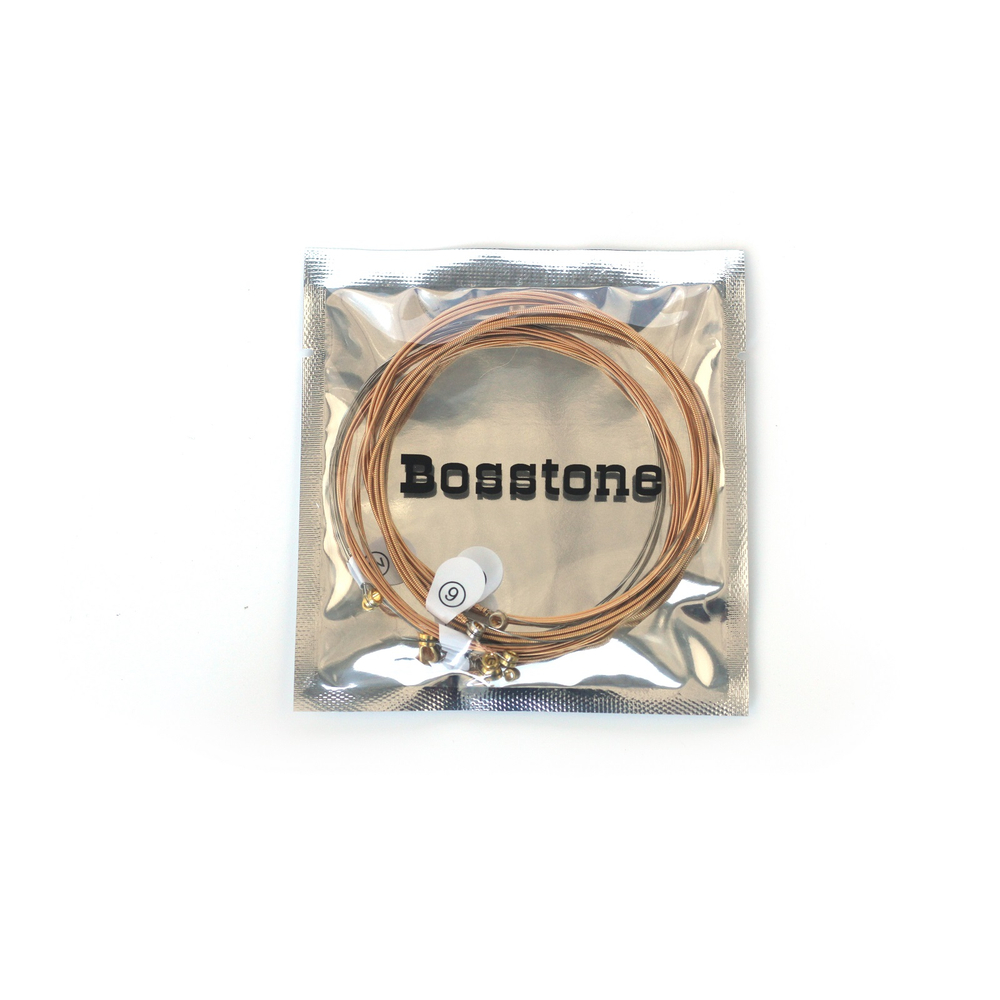 bosstone_bs_fb10-47_1_-1104959449.jpg