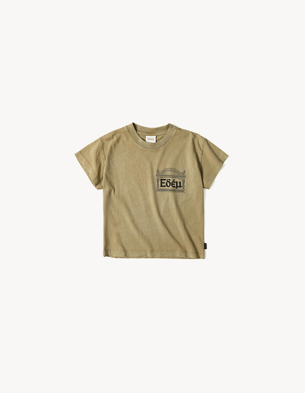 Мужская футболка regular fit ARIES X BERSHKA, арт. 2079/071 - BERSHKA
