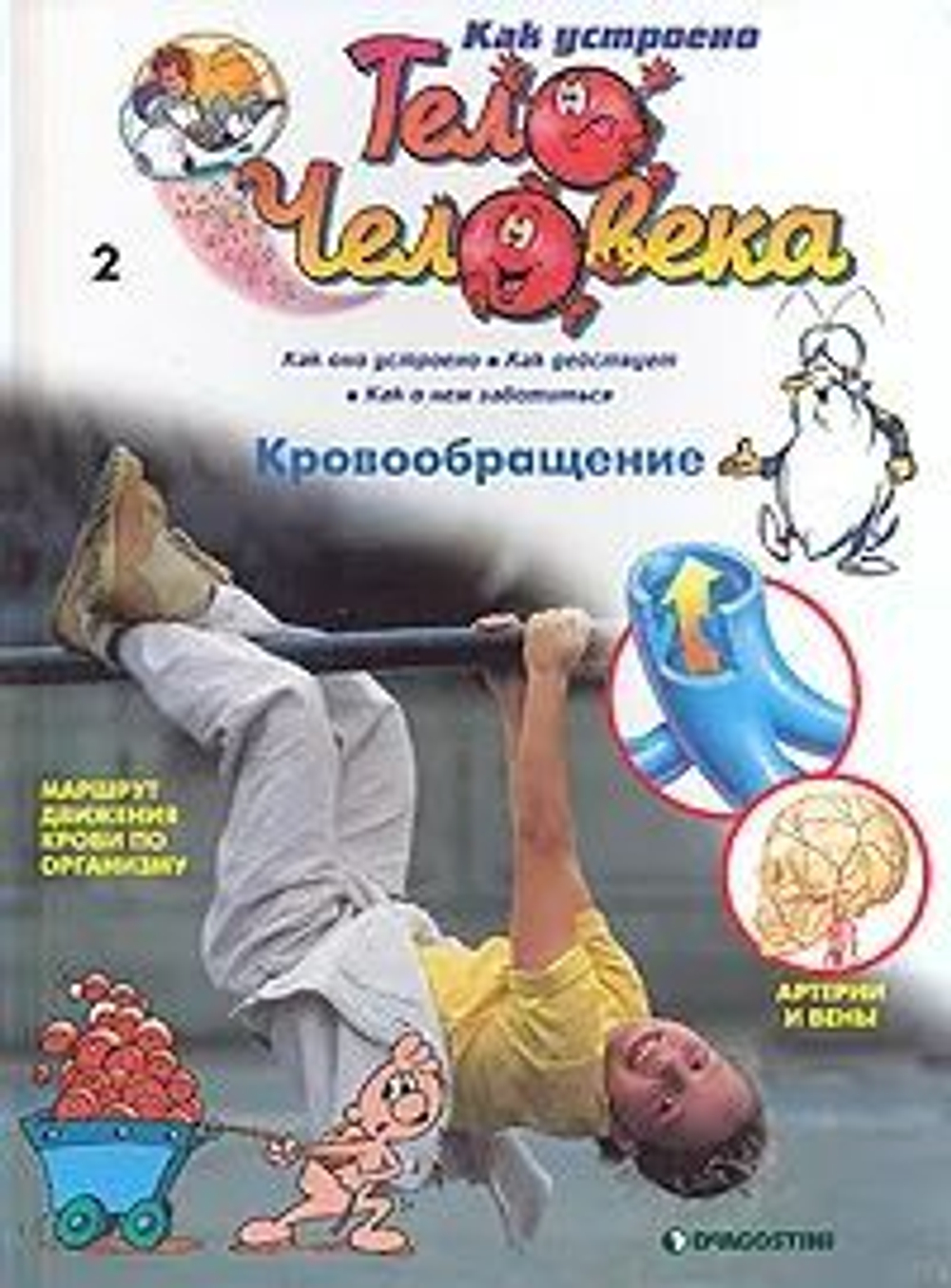 Как устроено тело человека (30 номеров журналов). Товар уцененный