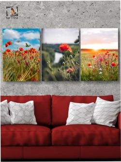 Картина Алые сияния модульная 50x70см 3шт.