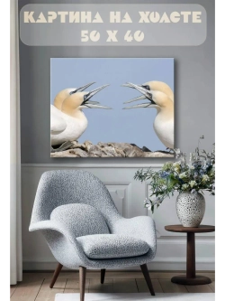 Картина на стену 40 X 50 Птицы