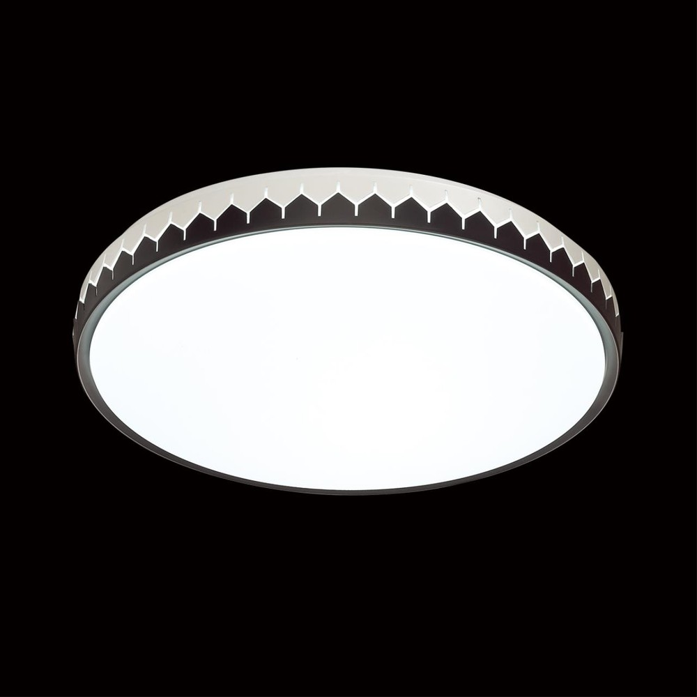 3053/EL PALE SN 000 Светильник пластик/белый/черный LED 72Вт 3000-6300К D490 IP43 пульт ДУ DORTA