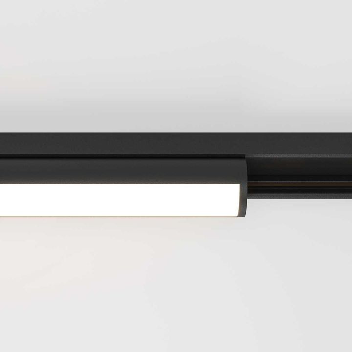 Трековый светильник Maytoni Technical TR183-1-12WTW-B