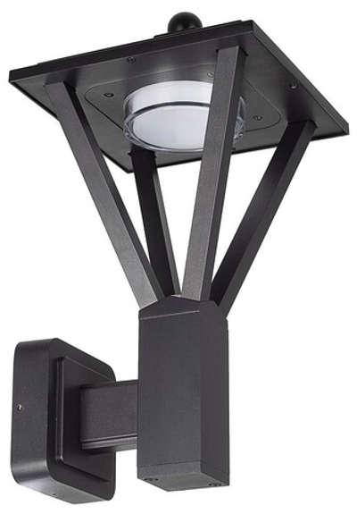 Светильник на штанге Citilux GENOX CLU12W