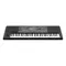 Korg Pa600