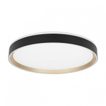 Накладной светильник Citilux BOSS CL751451G