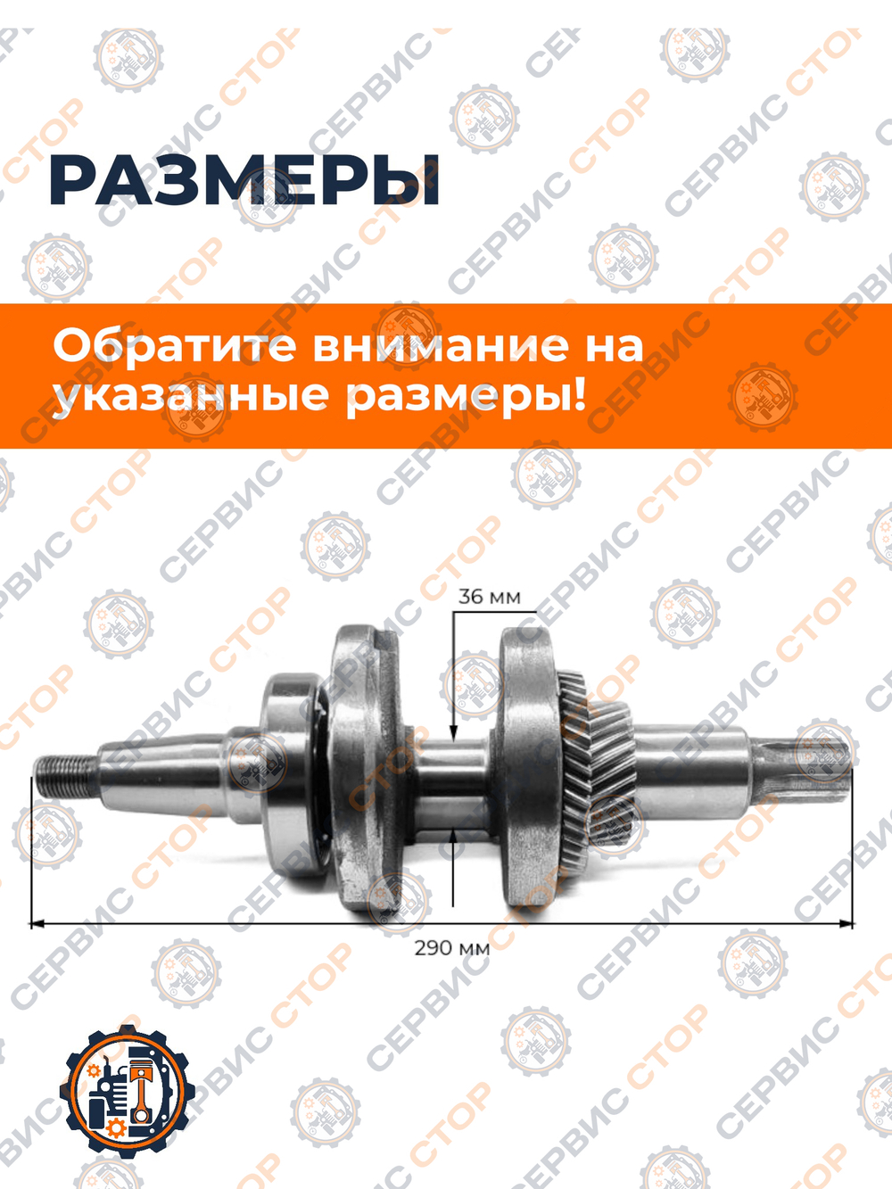 VM00180-188F (1)