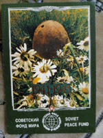 Календарь карманный винтажный коллекционный СССР. Советский фонд мира 1990 год