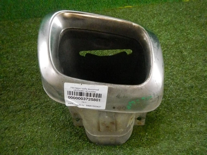 DSCN5581.jpg