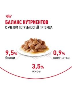 Digestive Care Корм для кошек в соусе 85г*28шт