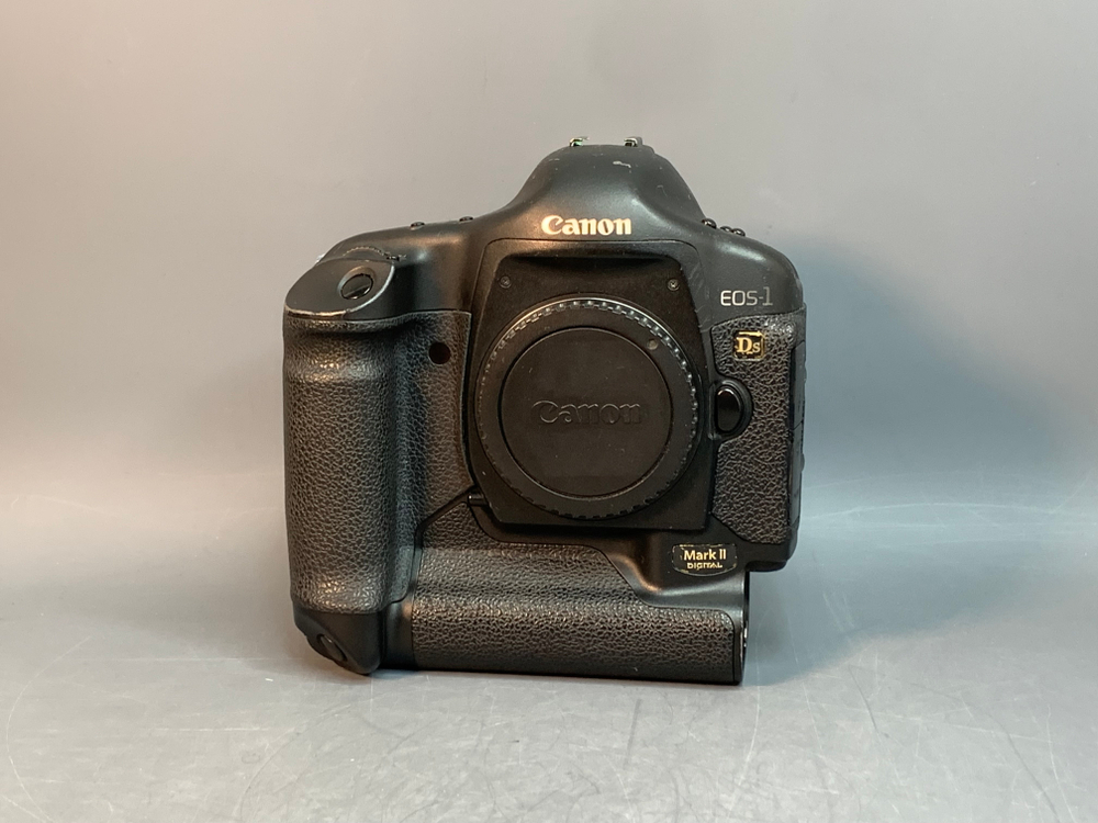 Canon EOS 1Ds Mark II body Отсутствует затвор, не включается