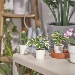 FEJKA Искусственное растение в горшке, комнатное/открытое Monstera, 6 см