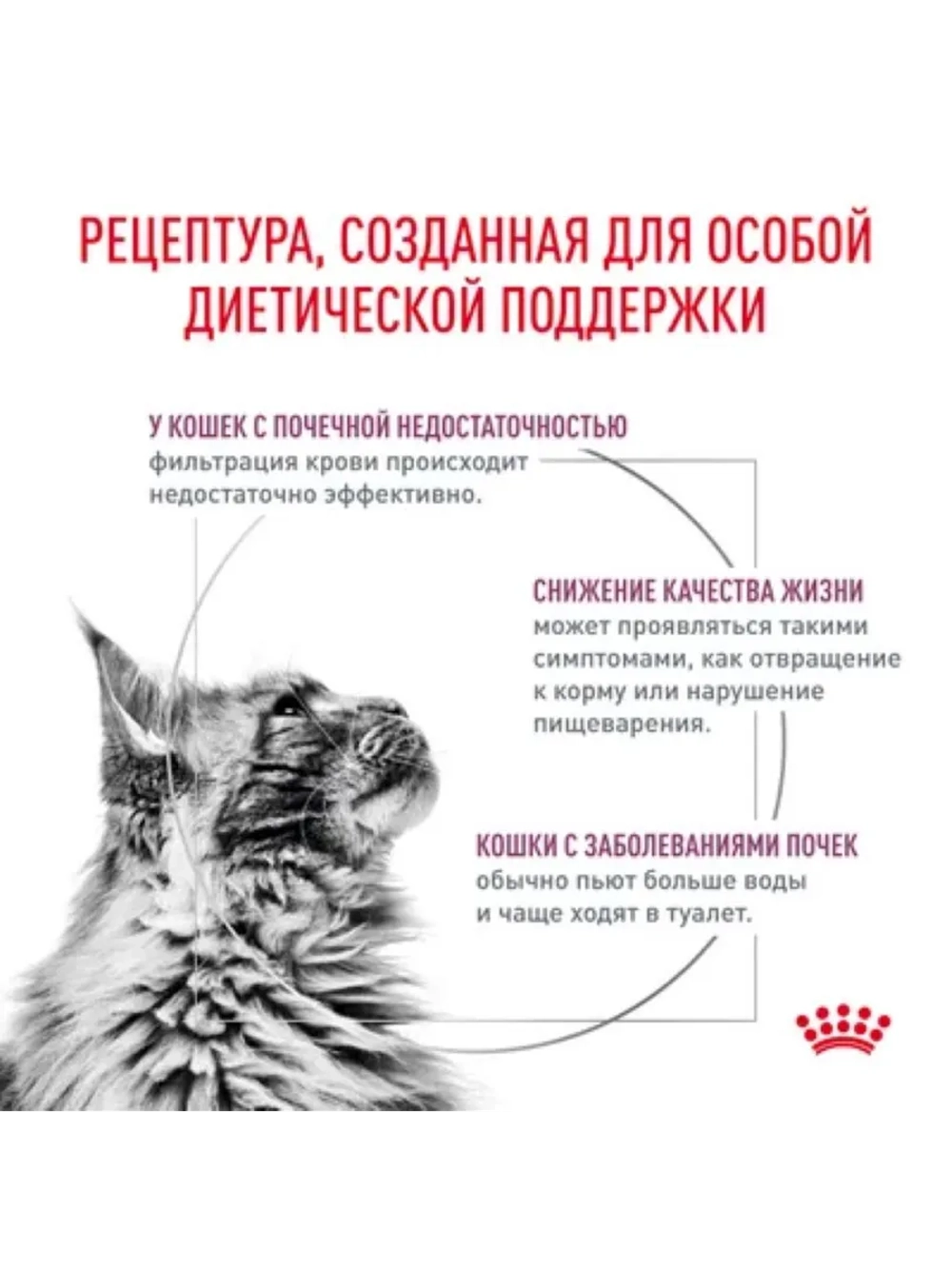 Renal Корм для кошек 350г