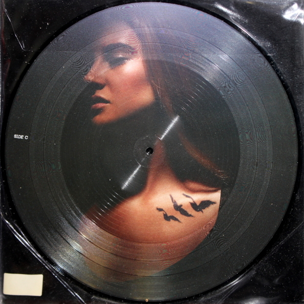 Soundtrack / Divergent (Original Motion Picture Soundtrack)(Picture Disc)(2LP)
