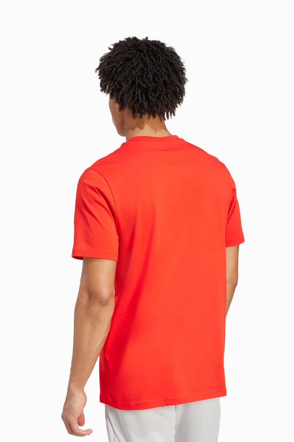 Футболка adidas FC Bayern 24/25 Seasonal Graphic Tee - красный