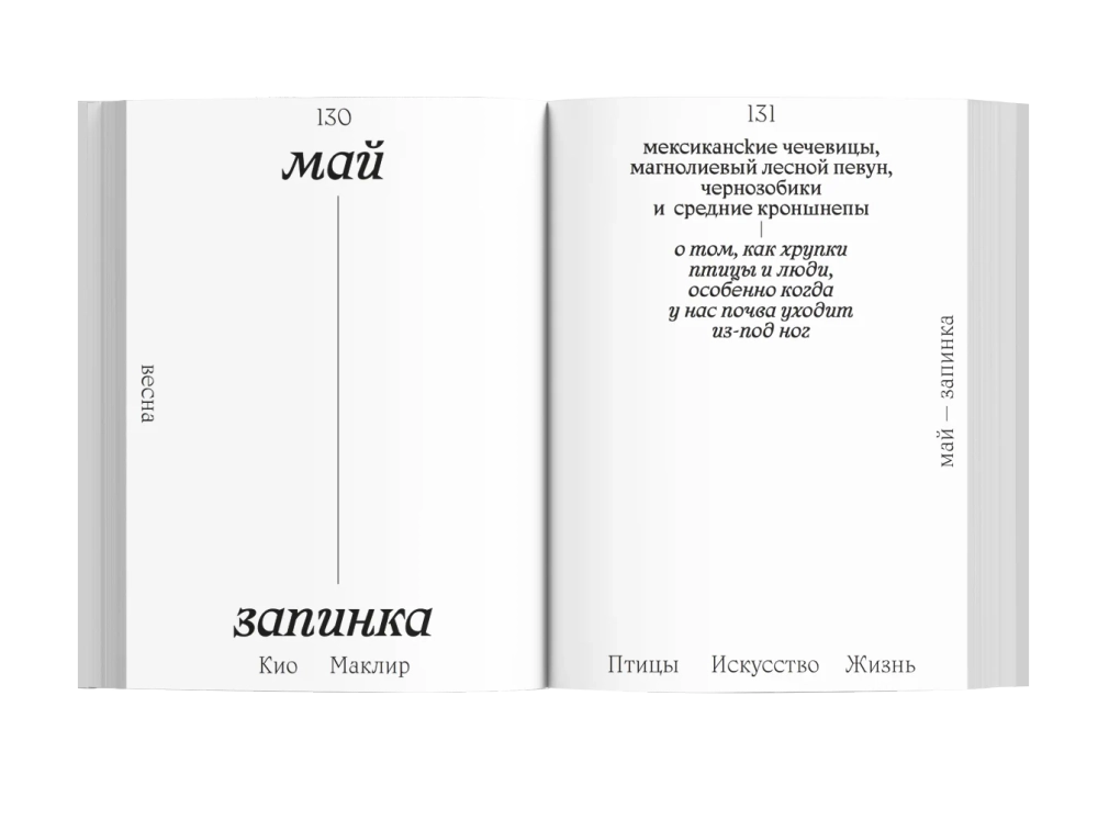 Птицы, искусство, жизнь: год наблюдений