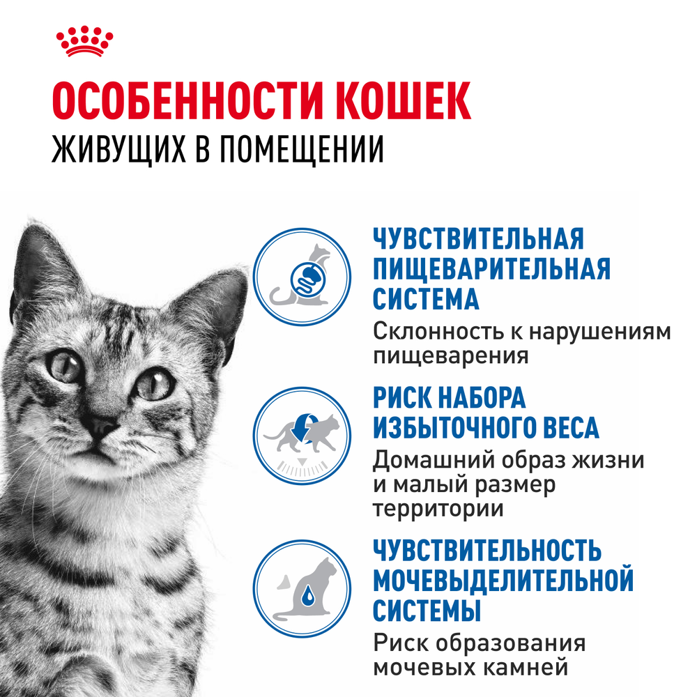Royal Canin Indoor Sterilized Индор стерилайзд Корм влажный для стерилизованных кошек живущих в помещении соус 85г