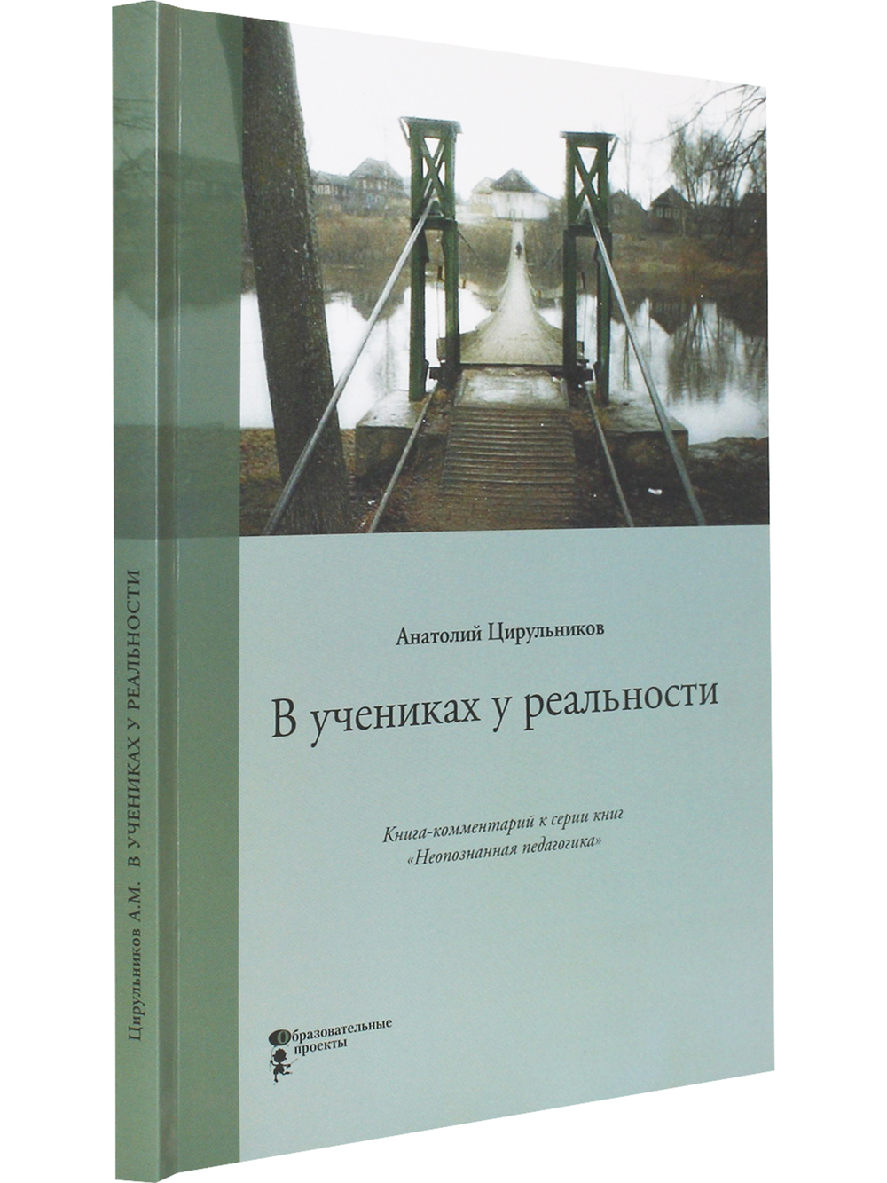 В учениках у реальности. Книга-комменоарий к серии книг "Неопознанная педагогика"