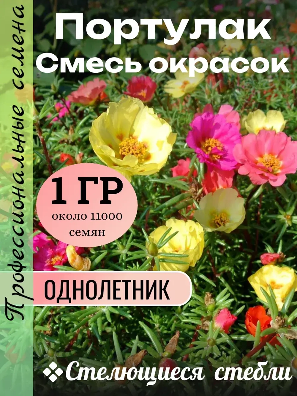 Семена Портулак Смесь окрасок 1 грамм