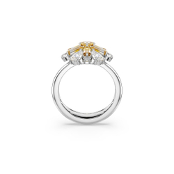 IDYLLIA E:RING YEL/RHS 50-55