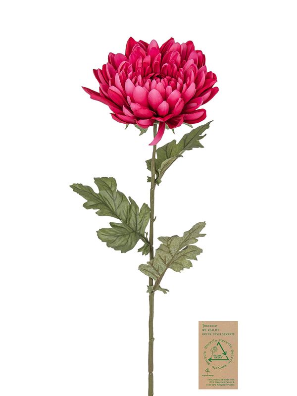 Цветок декоративный Fiebiger Floristik: Хризантема, 220043-560