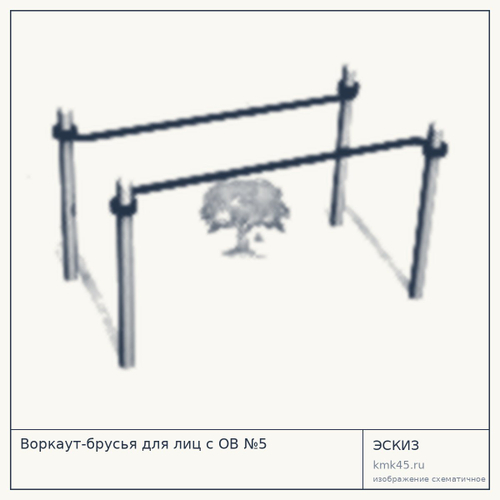 Воркаут-брусья для лиц с ОВ №5