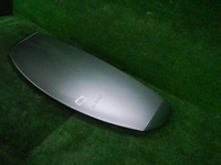 DSCN1293.JPG