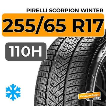 Pirelli Scorpion Winter 255/65 R17 110H