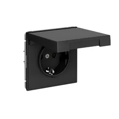 Розетка с крышкой Systeme Electric ArtGallery Карбон, самозажимные клеммы GAL001046S