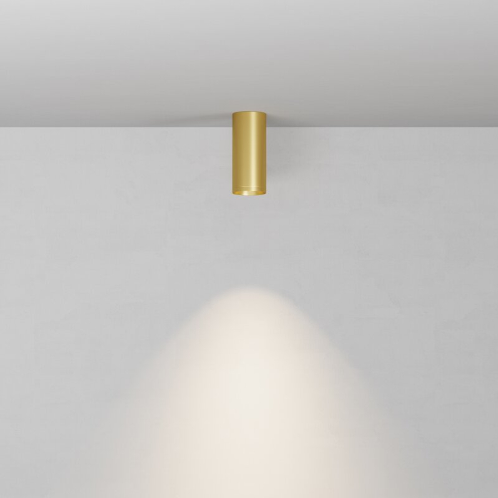 Накладной светильник Maytoni Technical  C010CL-01MG-N