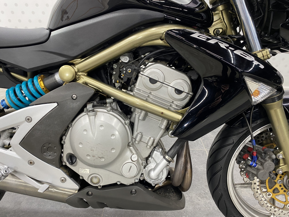Kawasaki ER-6N , 2006