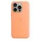 Чехол Silicone Case MagSafe для iPhone 15 Pro Апельсиновый сорбет Orange Sorbet