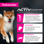 Сухой корм Eukanuba для взрослых собак мелких и средних пород старше 1 года с ягненком 3 кг