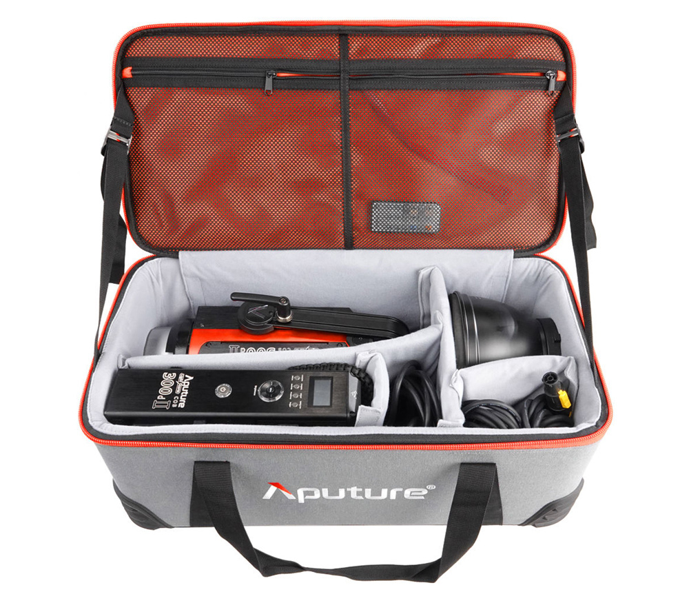Осветитель Aputure LS C300d II V-mount, светодиодный, 300 Вт, 5600К