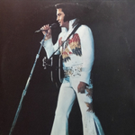 Elvis Presley / Elvis In Concert (2LP)