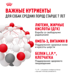 Royal Canin Medium Adult 7+ Медиум Эдалт Корм сухой для взрослых собак средних размеров от 7 лет и старше 15кг