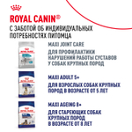 Royal Canin Maxi Adult Макси Эдалт Корм сухой для взрослых собак крупных размеров от 15 месяцев до 5 лет 15 кг