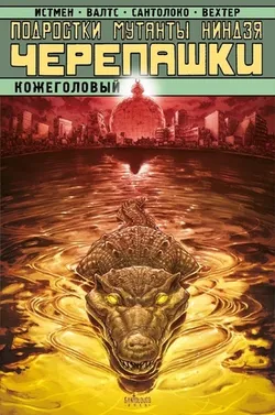 Подростки Мутанты Ниндзя Черепашки. Кожеголовый (Б/У)