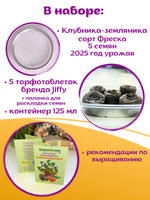 Клубника семена ремонтантная Земляника Фреска f1 + торфяные таблетки, 5шт, набор для выращивания
