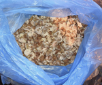 Почки кролика