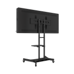 Интерактивная панель Horizon Scan c документ-камерой 55"