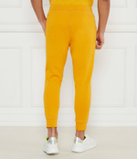 Джогеры ICON SKI Dsquared2 - горчичный(S79KA0045 D25015)