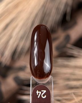Gel lacquer Galaxy гель-лак 24, 9g