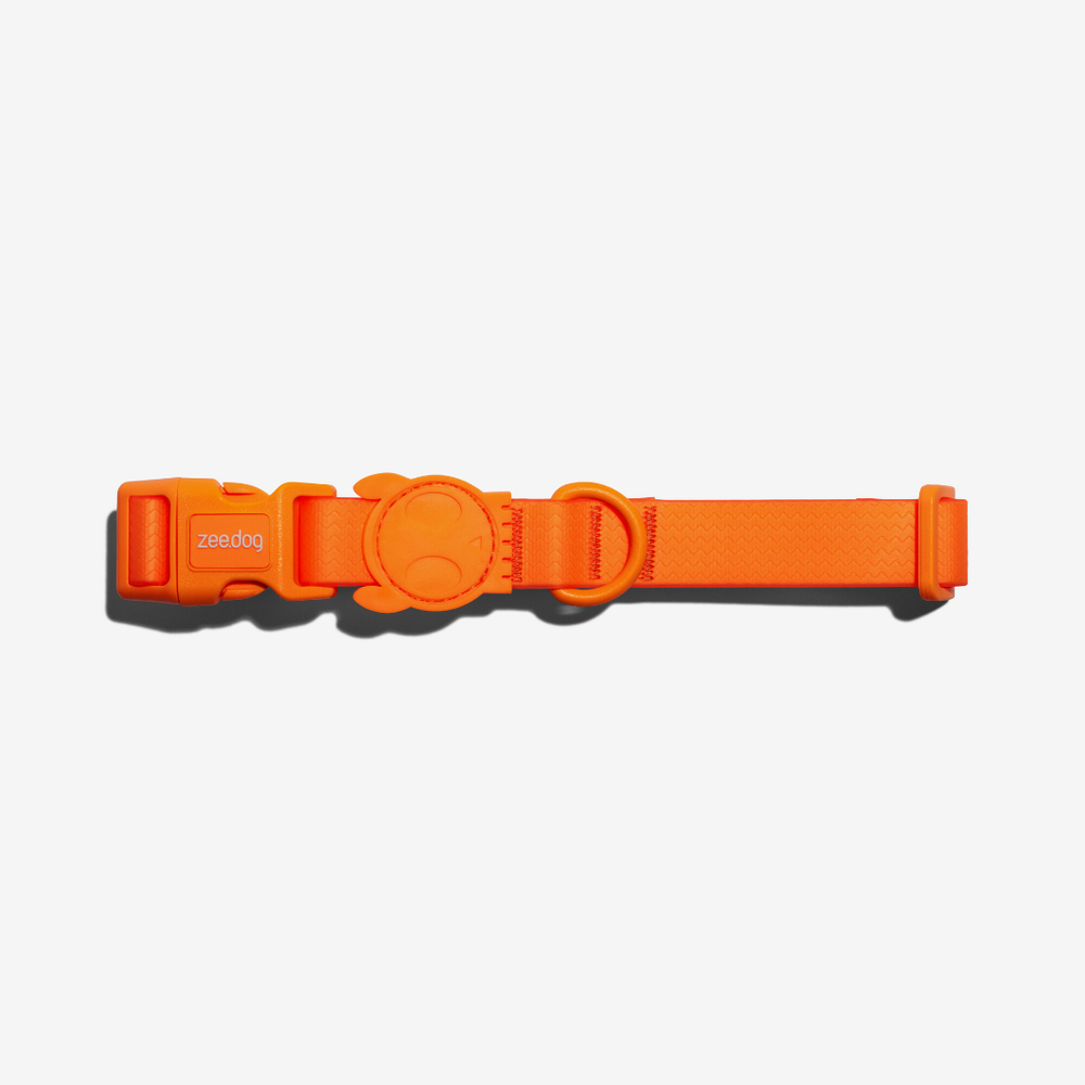 Ошейник NEOPRO TANGERINE Zee.Dog