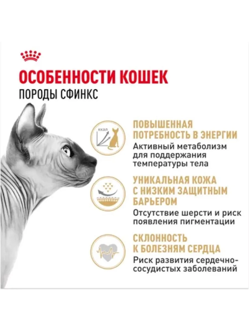 Sphynx Adult Корм для кошек 2кг
