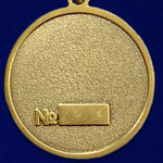 Медаль "Участник боевых действий на Северном Кавказе" 1994-2004 №2799