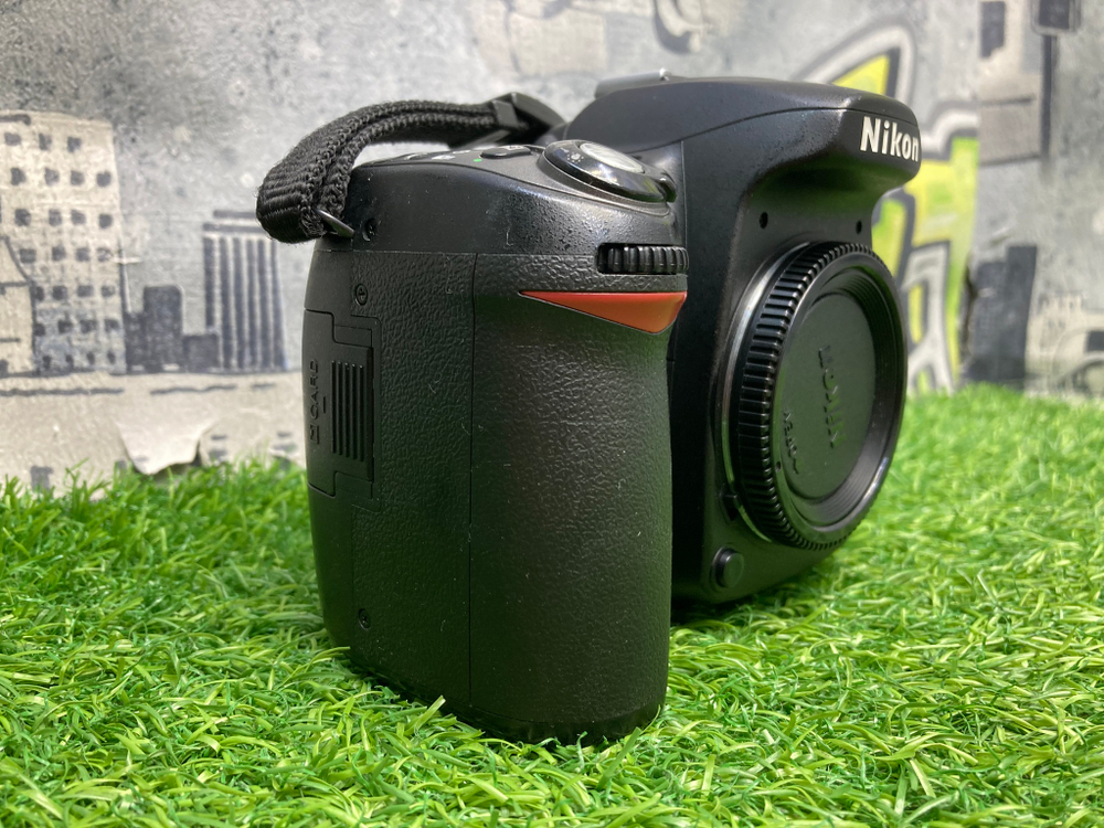 Nikon D80