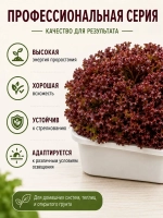 Семена салата Лолло Росса АГРОЛО профессиональные для гидропоники и грунта, листовой салат для дома и дачи
