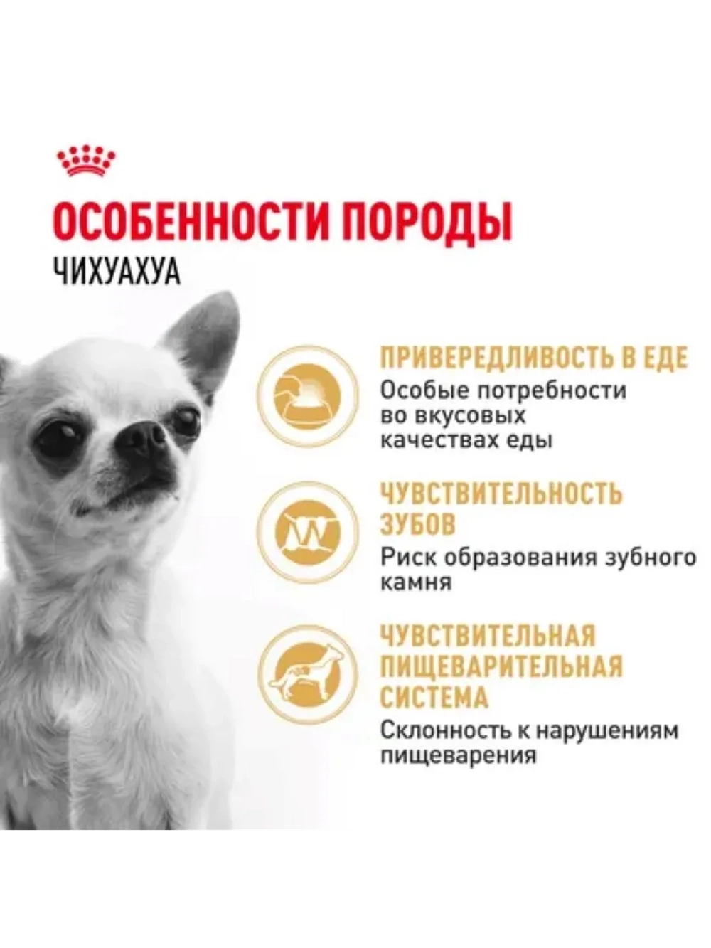 Chihuahua Корм для собак 1,5кг