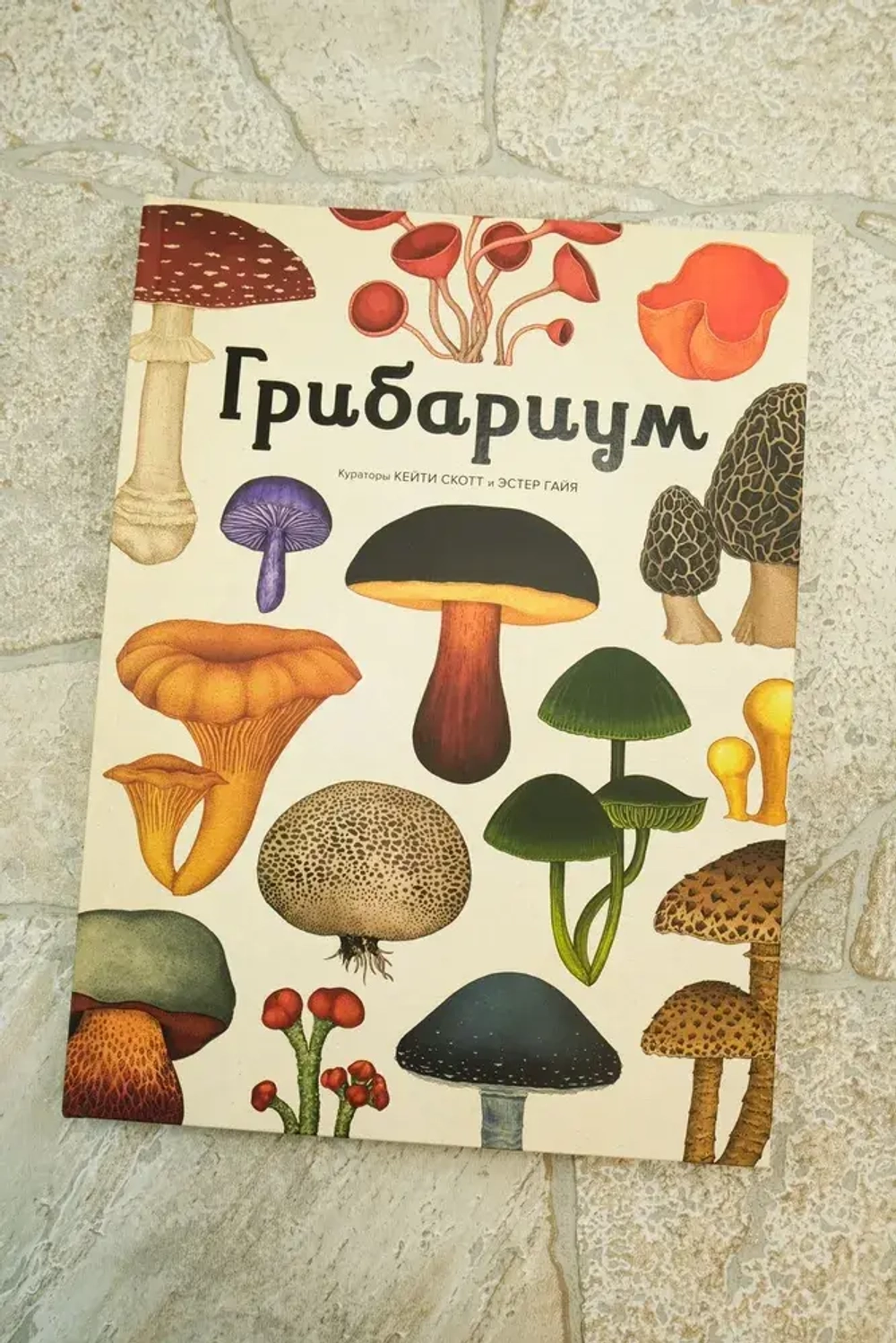 Грибариум